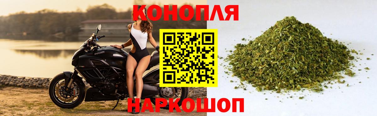 Бошки марихуана Ganja Лесной